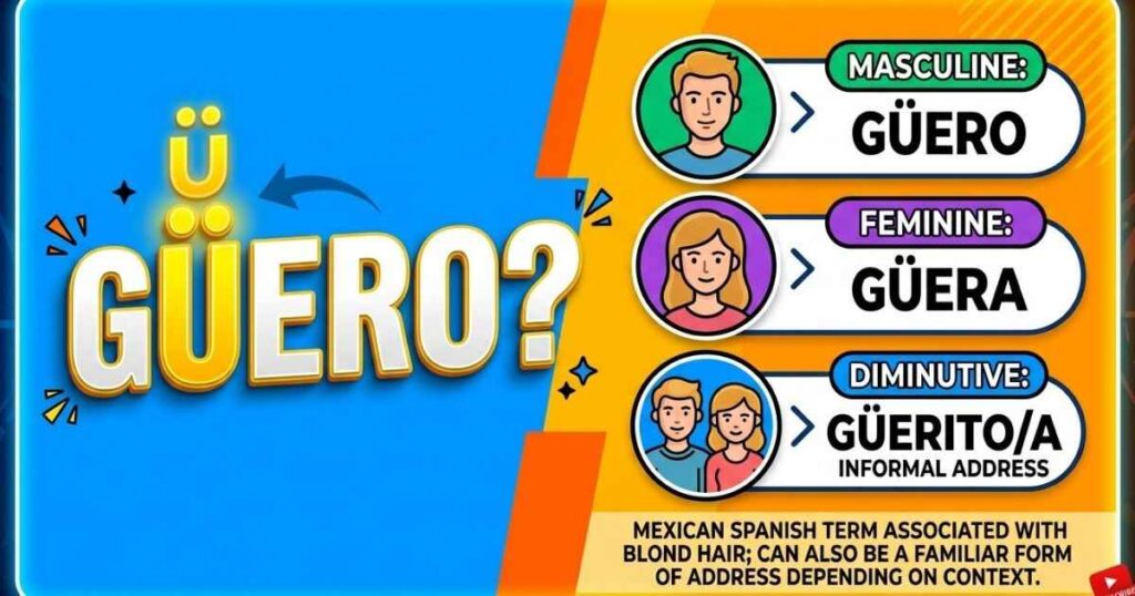 Chart displaying the masculine, feminine, and diminutive forms of the Mexican Spanish word güero.