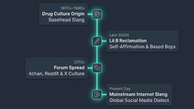 Timeline infographic showing reported links between the older 'basehead' slang, Lil B's positive reclamation, and later internet usage.