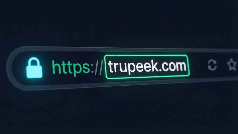Close-up of a web browser address bar displaying the HTTPS address for trupeek com.